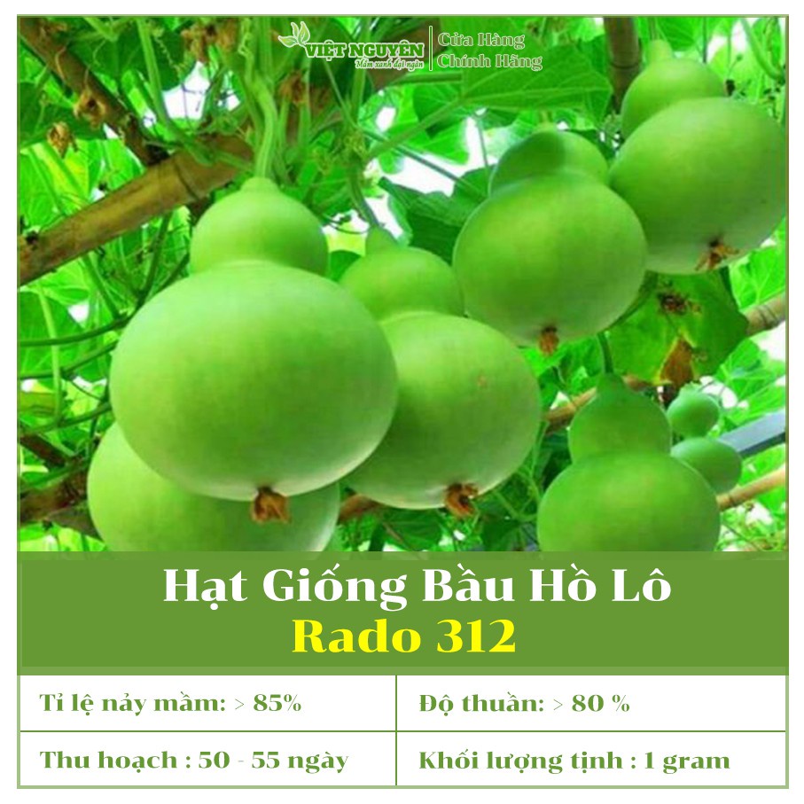 Hạt Giống Bầu Hồ Lô 312 Dễ trồng, dễ chăm sóc, sai trái, nhanh thu hoạch, năng suất cao