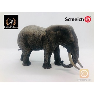 Mô hình động vật Schleich chính hãng Voi châu phi cái 14657 ( Trầy ) - Schleich House
