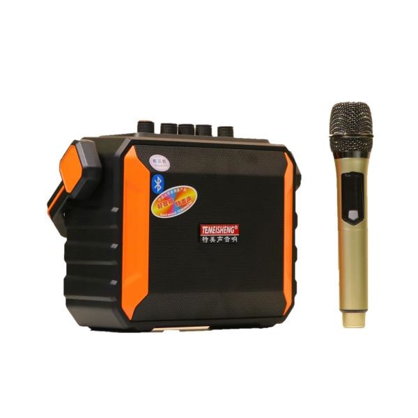 Loa karaoke di động Temeisheng A528 - 2 Micro