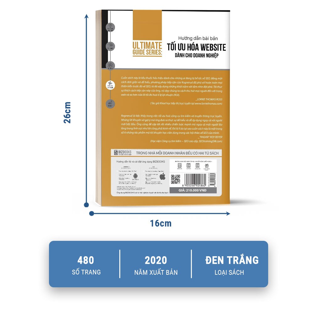 Sách - Hướng Dẫn Bài Bản Tối Ưu Hóa Website Dành Cho Doanh Nghiệp - BizBooks