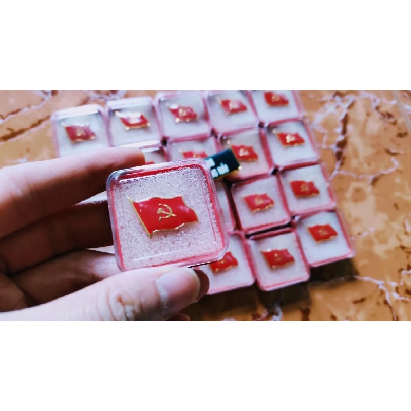 Huy hiệu cờ Đảng