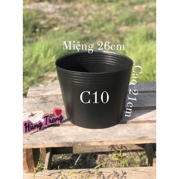 Combo 30 chậu nhựa mềm C10