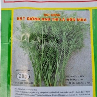 Hạt giống rau thìa là bốn mùa gói 20gr
