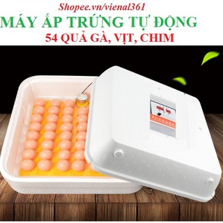 Máy ấp trứng  36 quả(full hộp xốp)