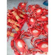 Gối ôm 3D Tôm Cua Ghẹ size 1m, Gối ôm Cua, Gấu Bông cho bé Cua 3d, tôm 3d, ghẹ 3d