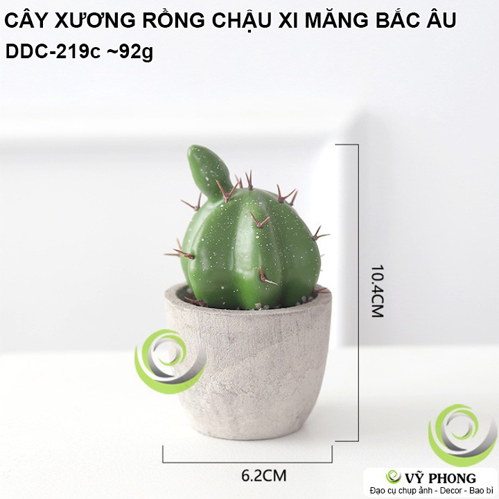 CÂY XƯƠNG RỒNG CHẬU SEN ĐÁ MÔ PHỎNG CHẬU XI MĂNG NORDIC BẮC ÂU TRANG TRÍ ĐẠO CỤ CHỤP ẢNH SẢN PHẨM INS DDC-219