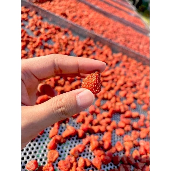 100gr Dâu Tây Sấy Dẻo