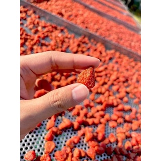 100gr Dâu Tây Sấy Dẻo