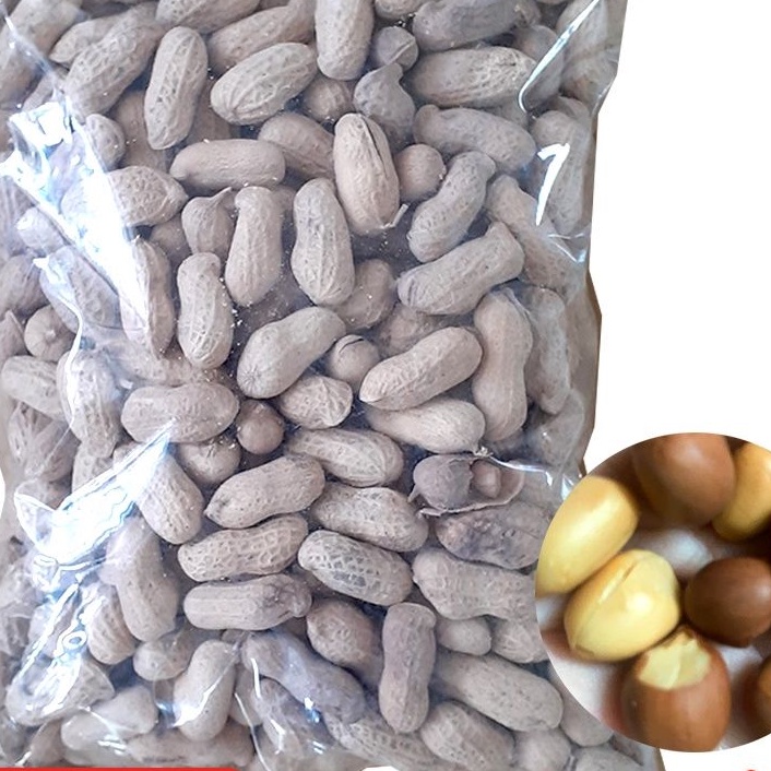 500r đậu phộng rang nguyên vỏ sấy khô ăn liền