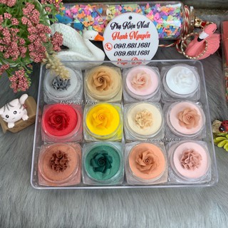 Set Bột Mỹ Lì 4 in 1: Nặn Hoa, Đắp phom móng, Nhúng, vẽ silk siêu đẹp