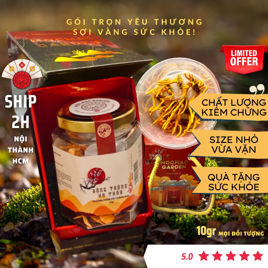 (10gr) Đông Trùng Hạ Thảo Sấy Thăng Hoa Cao cấp