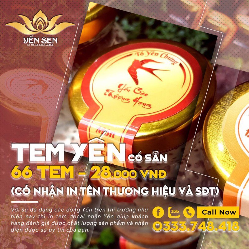 SET 66 TEM YẾN CHƯNG HỦ | BigBuy360 - bigbuy360.vn