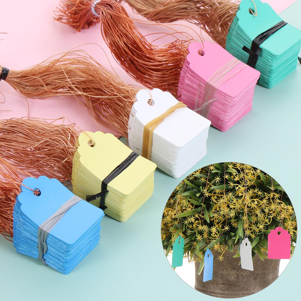 LONTIME Set 100 Thẻ Đánh Dấu Cây Trồng