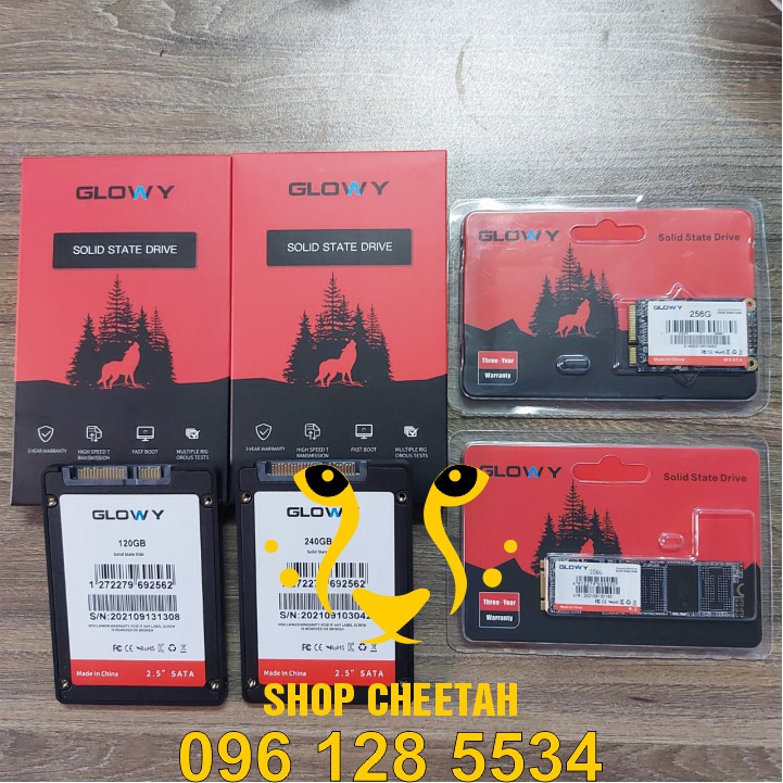 Ổ cứng SSD Gloway (SATA III) các model M2 / mSATA / 2.5” – CHÍNH HÃNG – Bảo hành 3 năm | WebRaoVat - webraovat.net.vn