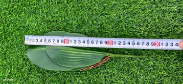 CỤM LÁ LAN