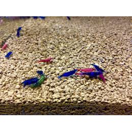 500g Phân Nền Akadama Dùng Trong Hồ Thuỷ Sinh, Trồng Cây Cảnh, Sen Đá, Bonsai, Lan,...