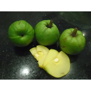 QUẢ TAI CHUA 1 KG