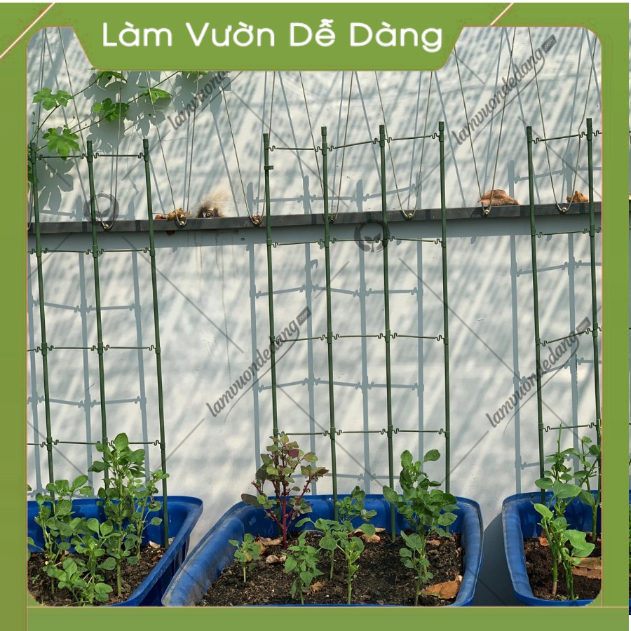 KHUNG ĐA NĂNG MỚI - Làm khung đỡ, giá đỡ cho cây hoa leo, hồng leo , giúp uốn gọn gàng cây trong khung.