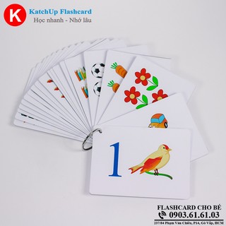 Flashcard tiếng Anh cho bé KatchUp - Số