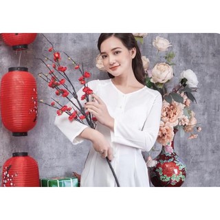 Áo bà ba lụa
