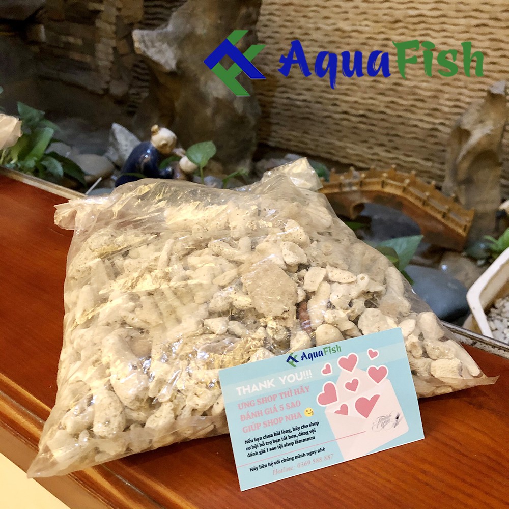 San Hô Vụn 1kg Dùng Cho Lọc Nước Bể Cá, Hồ Cá Koi