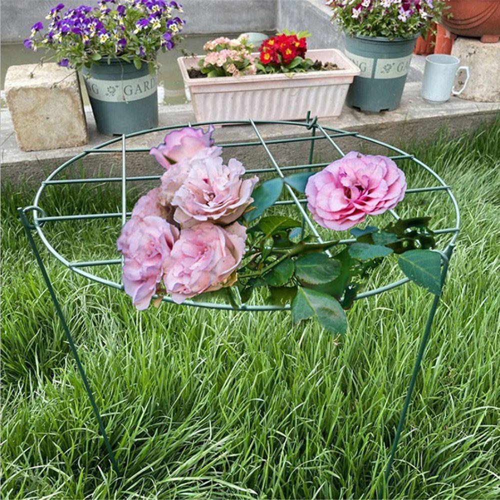 Giá Đỡ Cây Trồng Rau Củ Quả Dùng Cho Sân Vườn Kat1