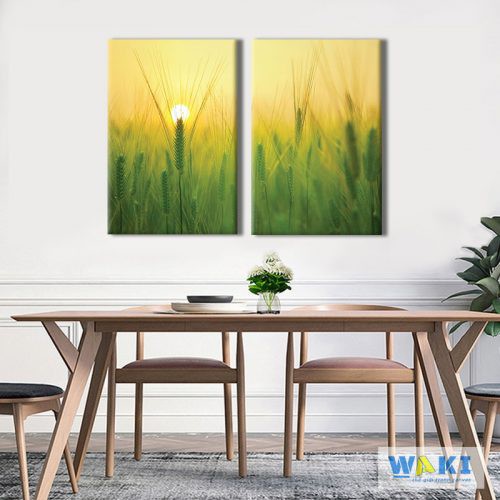 Bộ 2 tranh canvas “Lúa non” – W123