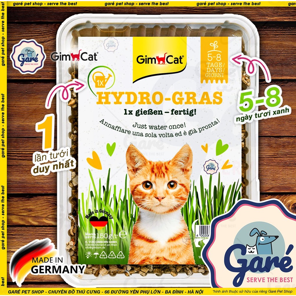 Bộ trồng cỏ mèo Gimcat Hydro-Gras, Soft-Gras, Katzen-Gras siêu dễ trồng không dùng đất - Gimcat Hydro-Gras