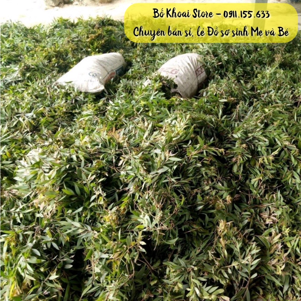 Dầu Tràm Huế nguyên chất - Dầu Tràm Huế Thanh Tùng 110ml - Bố Khoai Store