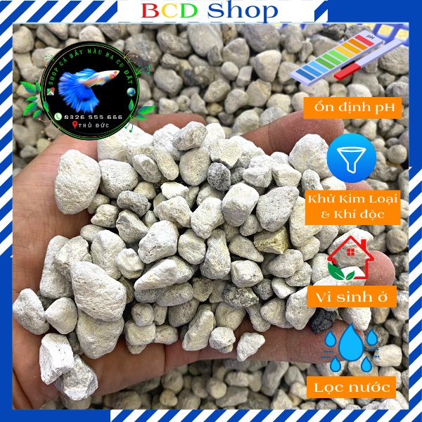 Đá matrix, đá lọc nước, vật liệu lọc cao cấp dùng cho bể cá cảnh