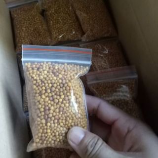 Phân vàng tan chậm Thái Lan 100g
