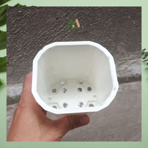Chậu nhựa vuông cứng mini màu trắng trồng sen đá xương rồng size 11x10  tiện lợị tại AXUNSHOP giá xưởng
