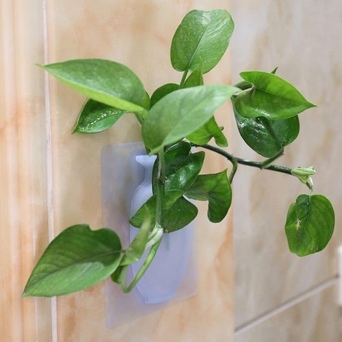 ⛔FREESHIPXTRA⛔ Lọ hoa silicon dán tường