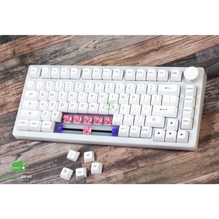 [Quà 200k] Bàn Phím Cơ Không Dây - AKKO PC75B Blue & White (Bluetooth 5.0 / Wireless 2.4Ghz / Hotswap / Foam tiêu Âm)