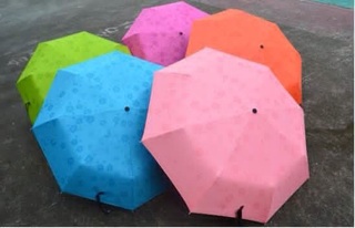 Ô gấp, gặp nước nở hoa