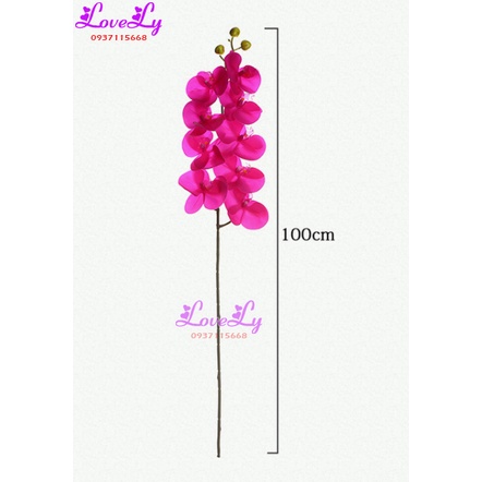 Hoa giả - Hoa lan hồ điệp vải đẹp trang trí nhà cửa size 1m