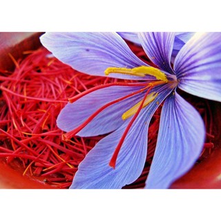 💕SAFFRON 20k💕 Nhuỵ hoa nghệ tây 20k Saffron Iran dùng thử gói 0.2 g - Hàng có sẵn