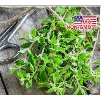 100h Hạt Giống Sweet Marjoram Kinh Giới Ngọt