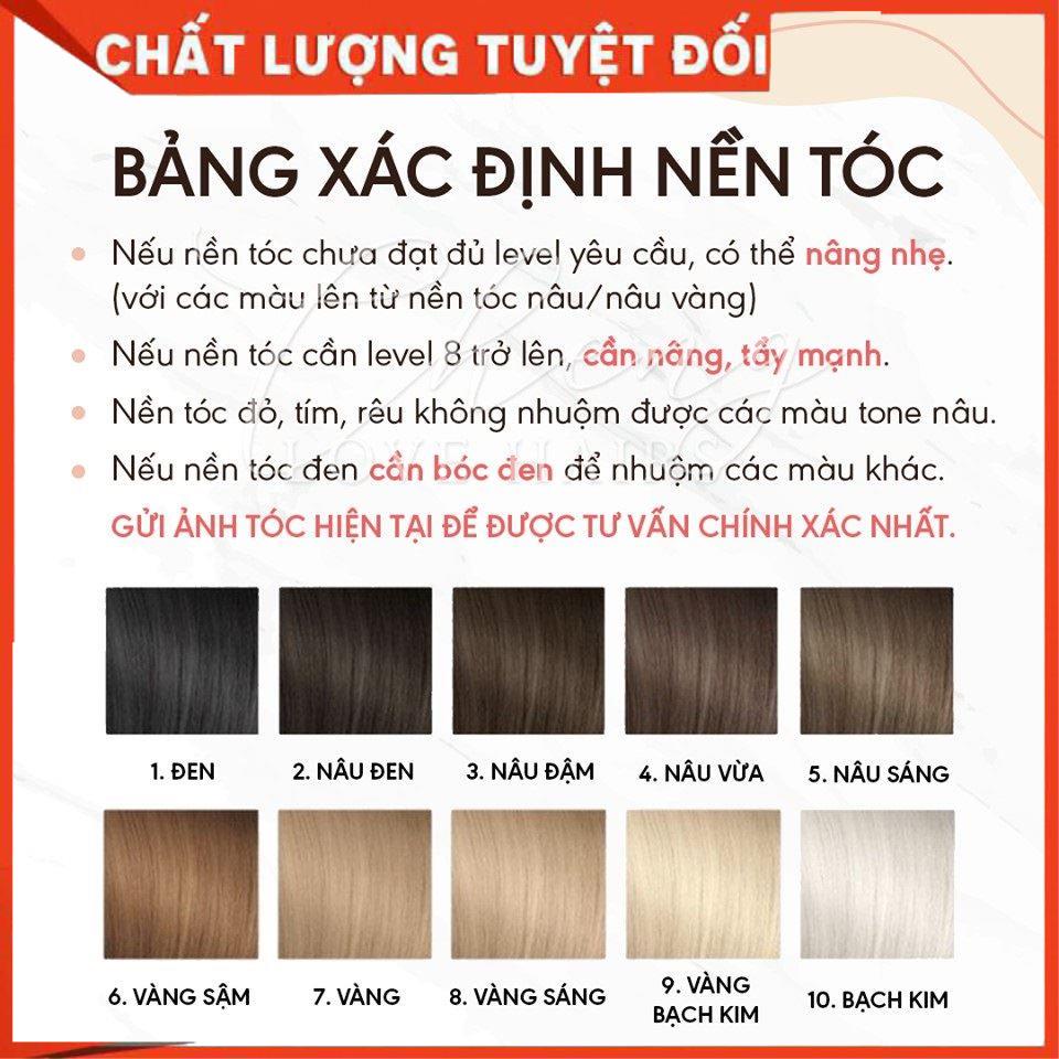 Thuốc nhuộm tóc màu Rêu đá lạnh kèm bộ dụng cụ nhuộm tóc