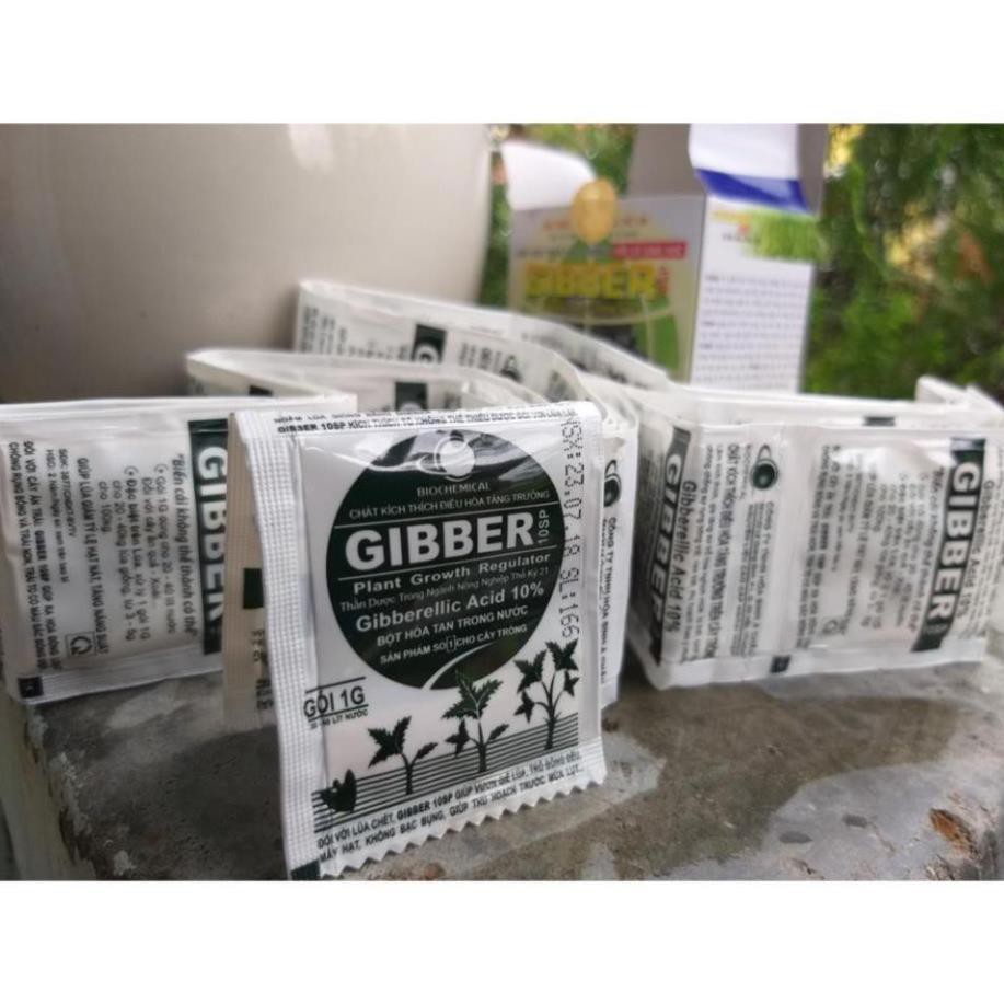 Phân Bón Lá GIBBER Kích Thích Tăng Trưởng