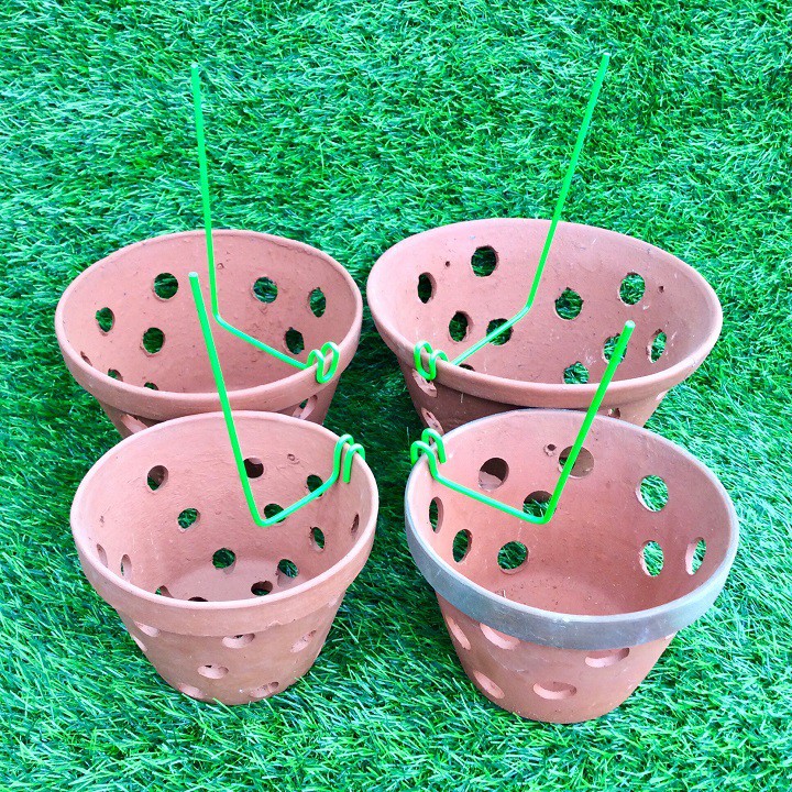 Set 5 que kẹp chậu giữ lan (kie lan)