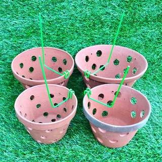 Set 20 que kẹp chậu giữ lan (kie lan)