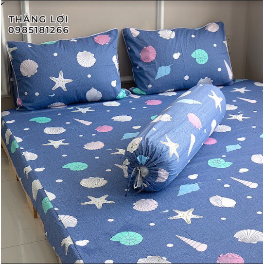 Drap Cotton 100% Thắng Lợi chính hãng Mẫu SÒ ỐC BIỂN IN LOGO THẮNG LỢI vệ sinh dễ dàng.