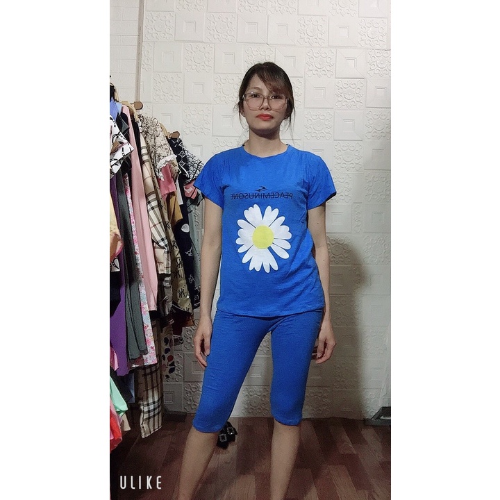 bộ hoa cúc cotton