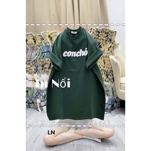 Áo phông chữ concho DA6
