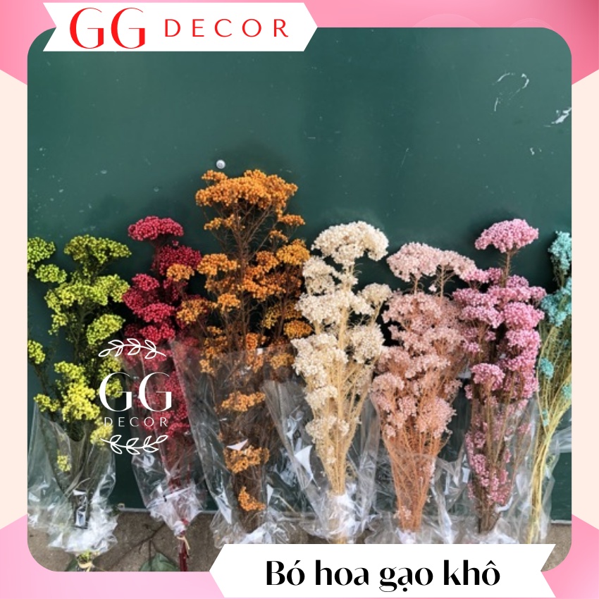 Bó hoa gạo khô 🔸 GIÁ SỐC 🔸 hoa gạo tự nhiên được sấy khô từ những cành hoa tươi nhất nên luôn giữ được vẻ đẹp tự nhiên