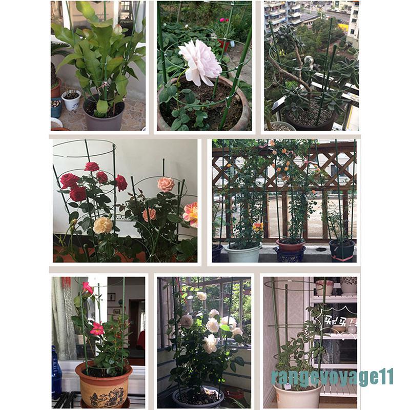 Dây Thừng Hỗ Trợ Trồng Cây Leo Siêu Bền Tiện Dụng