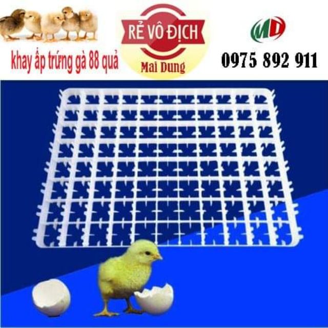 Combo 10 cái - khay ấp trứng gà 88 quả