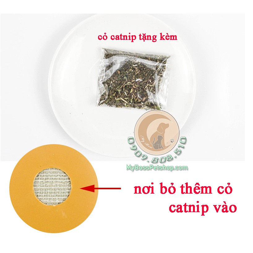 Trụ gãi ngứa cho mèo , Lấy lông rụng cho mèo tặng kèm catnip