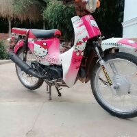 Tem Hello kitty